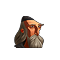 polok44